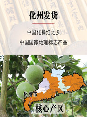 Hua Ju Hong Guo Pian 化橘紅果, 20 Years Dried Fructus Citri Grandis, Throat Care Herb Pummelo Fruit-Health Wisdom™