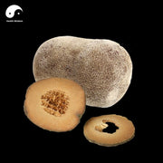 Hua Ju Hong Guo Pian 化橘紅果, 5 Years Dried Fructus Citri Grandis, Pummelo Fruit Throat Cough Care Herb Tea-Health Wisdom™
