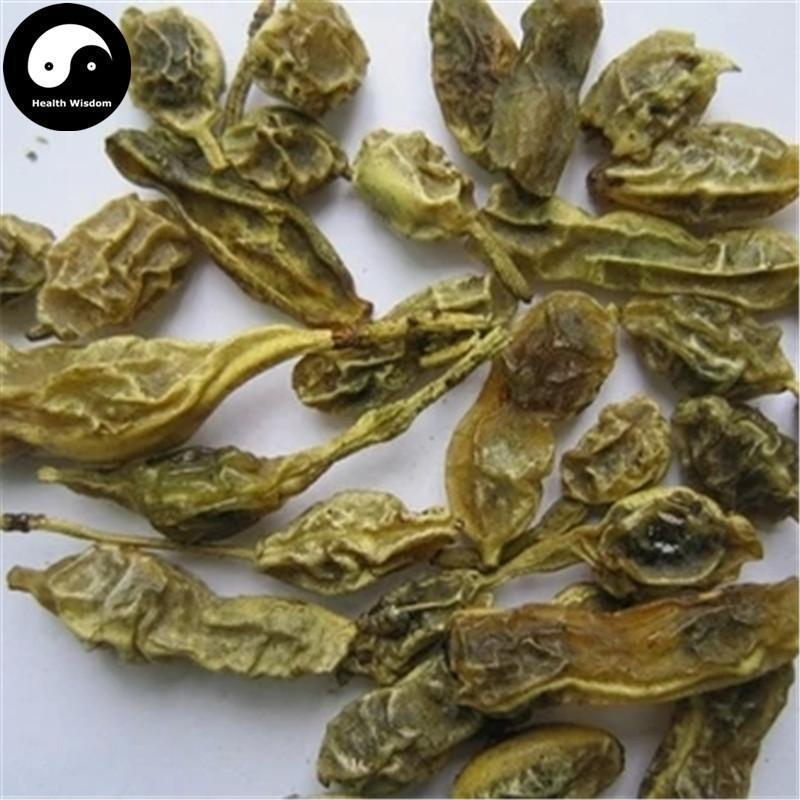 Huai Jiao 槐角, Huai Shi 槐实, Fructus Sophorae, Huai Zi, Pagodatree Pod Fruits-Health Wisdom™