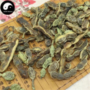 Huai Jiao 槐角, Huai Shi 槐实, Fructus Sophorae, Huai Zi, Pagodatree Pod Fruits-Health Wisdom™