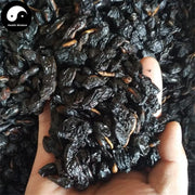 Huai Jiao Tan 槐角炭, Huai Shi 槐实, Fructus Sophorae, Huai Zi, Pagodatree Pod Fruits-Health Wisdom™