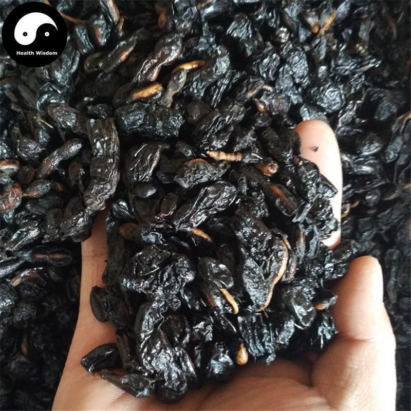 Huai Jiao Tan 槐角炭, Huai Shi 槐实, Fructus Sophorae, Huai Zi, Pagodatree Pod Fruits-Health Wisdom™