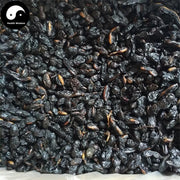 Huai Jiao Tan 槐角炭, Huai Shi 槐实, Fructus Sophorae, Huai Zi, Pagodatree Pod Fruits-Health Wisdom™