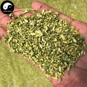 Huai Mi 槐米, Flos Sophora Japonica, Sophora Flower Bud, Pagodatree Flower-Health Wisdom™