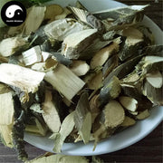 Huai Zhi 槐枝, Japanese Pagodatree Juvenile Branchlet, 槐嫩蘗, Sphora Japonica-Health Wisdom™
