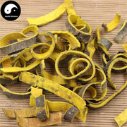 Huang Bo Pi 黃柏皮, Cortex Phellodendri, Huang Bai, Amur Corktree Bark-Health Wisdom™