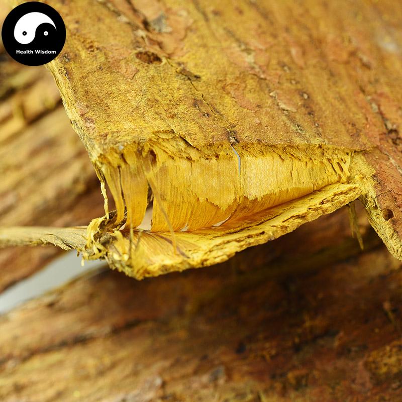 Huang Bo Pi 黃柏皮, Cortex Phellodendri, Huang Bai, Amur Corktree Bark-Health Wisdom™