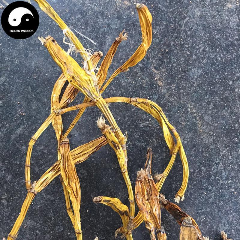 Huang Cao Shi Hu 黄草石斛, Herba Dendrobium Chrysanthum-Health Wisdom™