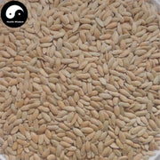 Huang Gua Zi 黃瓜子, Cucumber Seed-Health Wisdom™
