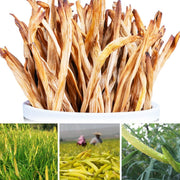 Huang Hua Cai 黄花菜, Dried Hemerocallis Citrina, Jin Zhen Cai 金针菜-Health Wisdom™