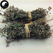 Huang Hua Ren 黄花稔, Sida Acuta Burm, Huang Hua Mu, Qian Jin Zhui-Health Wisdom™