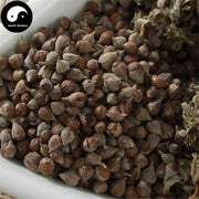 Huang Jing Zi 黄荆子, Negundo Chastetree Fruit, Fructus Viticis Negundo,Mu Jing Zi-Health Wisdom™
