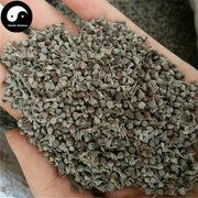 Huang Jing Zi 黄荆子, Negundo Chastetree Fruit, Fructus Viticis Negundo,Mu Jing Zi-Health Wisdom™