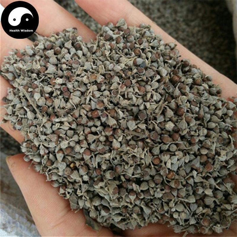 Huang Jing Zi 黄荆子, Negundo Chastetree Fruit, Fructus Viticis Negundo,Mu Jing Zi-Health Wisdom™