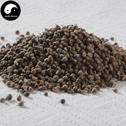 Huang Jing Zi 黄荆子, Negundo Chastetree Fruit, Fructus Viticis Negundo,Mu Jing Zi-Health Wisdom™
