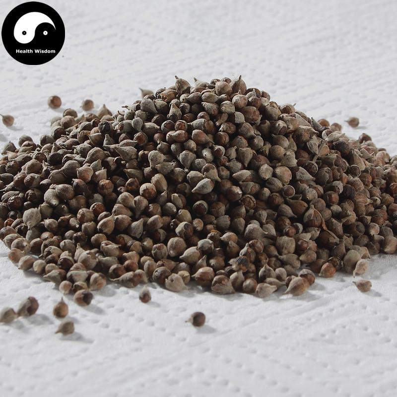 Huang Jing Zi 黄荆子, Negundo Chastetree Fruit, Fructus Viticis Negundo,Mu Jing Zi-Health Wisdom™
