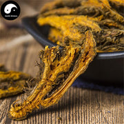Huang Lian 黄连, Rhizoma Coptidis, Chinese Goldthread Rhizome, Chuan Huang Lian-Health Wisdom™