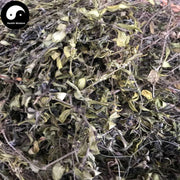 Huang Mao Er Cao 黄毛耳草, Herba Hedyotidis Chrysotrichae, Goldhair Hedyotis Herb-Health Wisdom™