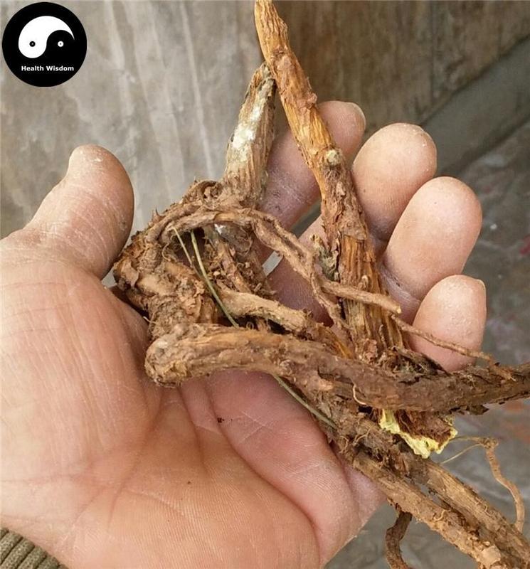Huang Qin 黃芩, Baical Skullcap Root, Radix Scutellariae, Ku Qin-Health Wisdom™