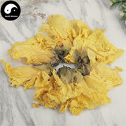 Huang Shu Kui Hua 黃蜀葵花, Abelmoschi Corolla Flower, Flos Abelmoschus Manihot-Health Wisdom™