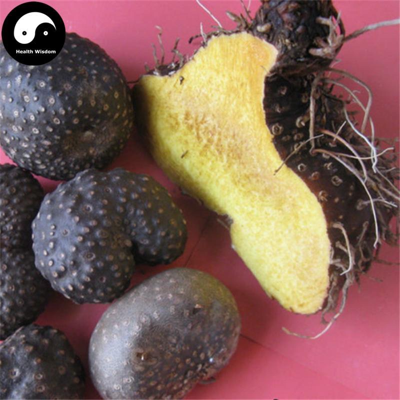 Huang Yao Zi 黃藥子, Airpotato Yam Rhizome, Rhizoma Dioscoreae Bulbiferae, Huang Du Zi-Health Wisdom™