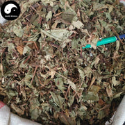 Huo Tan Mu Cao 火炭母草, Herba Polygonum Chinense, Yun Yao-Health Wisdom™