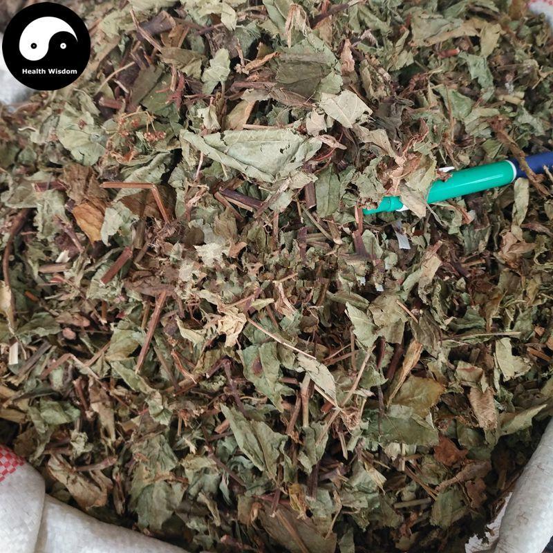 Huo Tan Mu Cao 火炭母草, Herba Polygonum Chinense, Yun Yao-Health Wisdom™