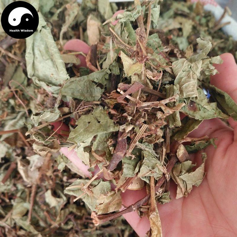 Huo Tan Mu Cao 火炭母草, Herba Polygonum Chinense, Yun Yao-Health Wisdom™
