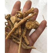 Ji Gu Xiang 鸡骨香, Radix Croton Crassifolius, Croton Crassifolius Root-Health Wisdom™
