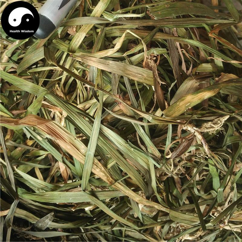 Ji Xiang Cao 吉祥草, Herba Reineckia Carnea, Guan Yin Cao, Yu Dai Cao-Health Wisdom™