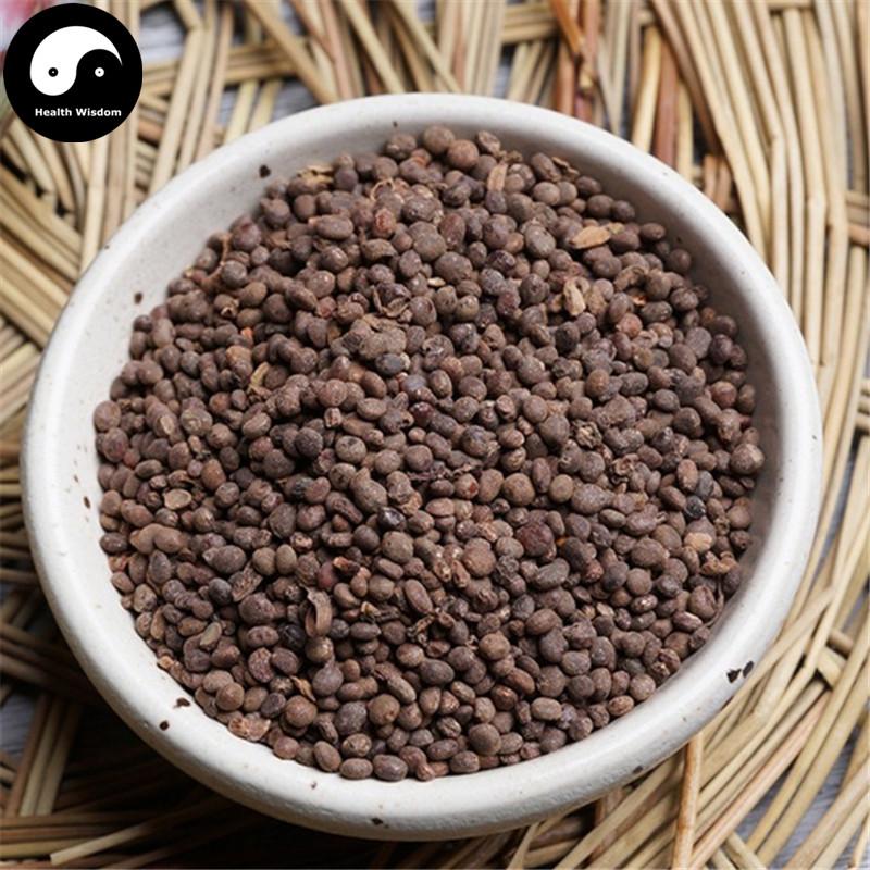 Ji Xing Zi 急性子, Semen Impatientis, Garden Balsam Seed-Health Wisdom™