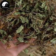 Ji Xue Cao 積雪草, Asiatic Pennywort Herb, Centella Asiatica, Herba Centellae-Health Wisdom™