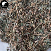 Ji Yan Cao 雞眼草, Japan Clover Herb, Herba Kummerowiae Striatae-Health Wisdom™