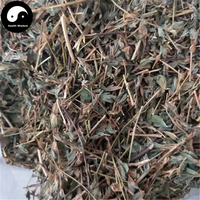 Ji Yan Cao 雞眼草, Japan Clover Herb, Herba Kummerowiae Striatae-Health Wisdom™