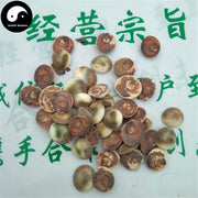 Jia Xiang 甲香, Turbo Cornutus Solander, Snail, Tai Ji Shi-Health Wisdom™