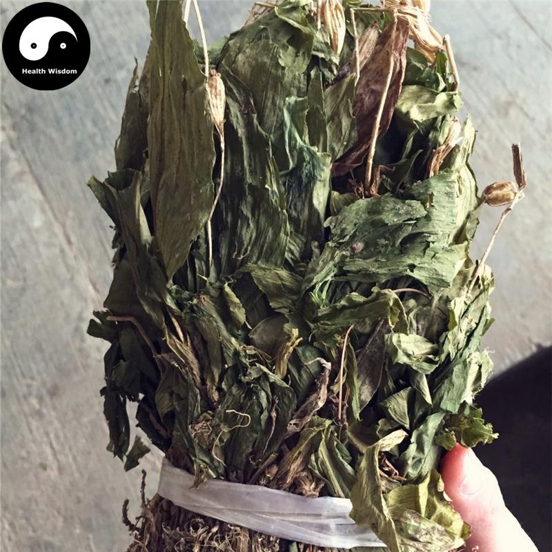 Jian Xue Qing 见血清, Herba Liparidis Nervosae, Nervate Twayblade Herb-Health Wisdom™