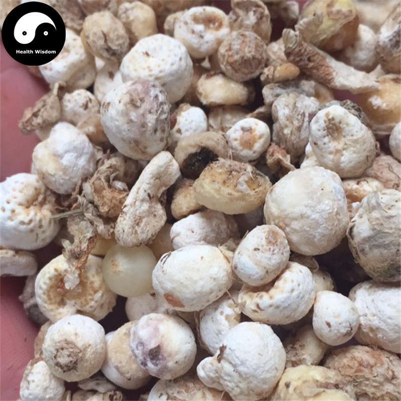 Jiang Ban Xia 姜半夏, Rhizoma Pinelliae, Pinellia Ternata Root-Health Wisdom™