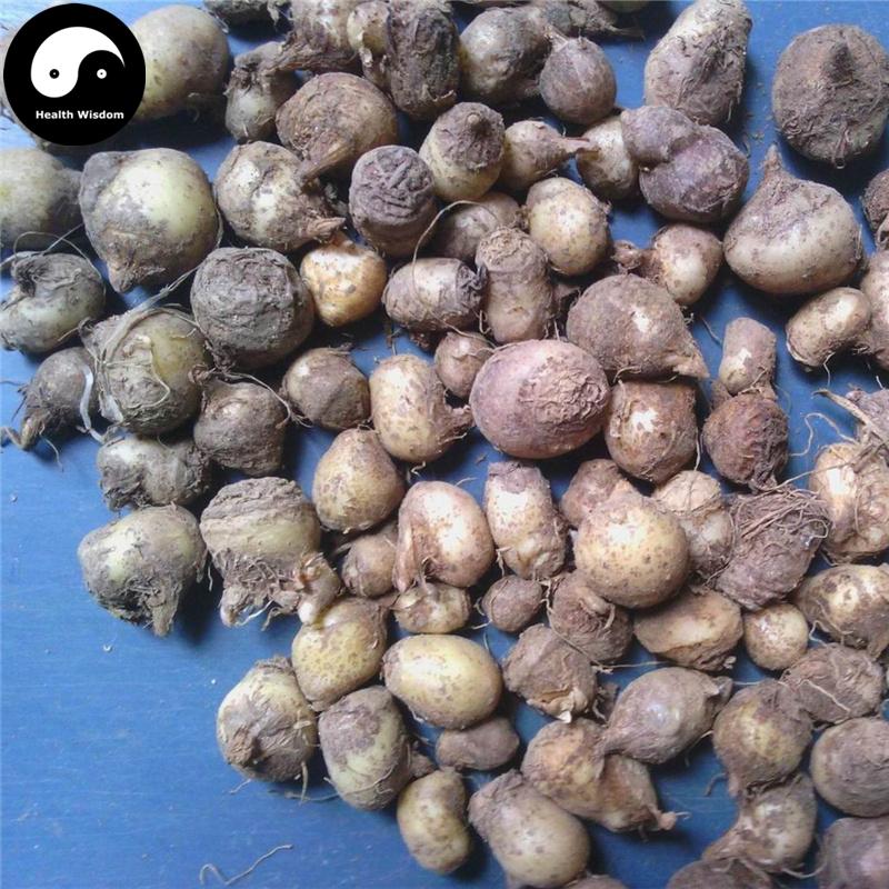 Jiang Ban Xia 姜半夏, Rhizoma Pinelliae, Pinellia Ternata Root-Health Wisdom™