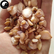 Jiang Ban Xia 姜半夏, Rhizoma Pinelliae, Pinellia Ternata Root-Health Wisdom™