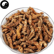 Jiang Can (Heated) 炒僵蚕, Bombyx Batryticatus, Silkworm Larva, Bombyx Mori-Health Wisdom™