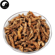 Jiang Can (Heated) 炒僵蚕, Bombyx Batryticatus, Silkworm Larva, Bombyx Mori-Health Wisdom™