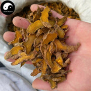Jiang Huang Pian 姜黃片, Rhizoma Curcumae Longae, Tumeric-Health Wisdom™