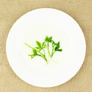 Jiao Gu Lan 絞股藍龙须茶, Gynostemma Pentaphyllum Herb, Herba Gynostemmatis Tender Leaf Tea, Qi Ye Dan-Health Wisdom™