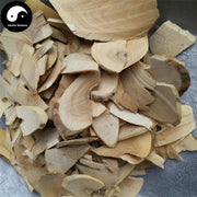 Jie Gu Mu 接骨木, Elderberry, Ramulus Sambuci Williamsii, Williams Elder Twig-Health Wisdom™