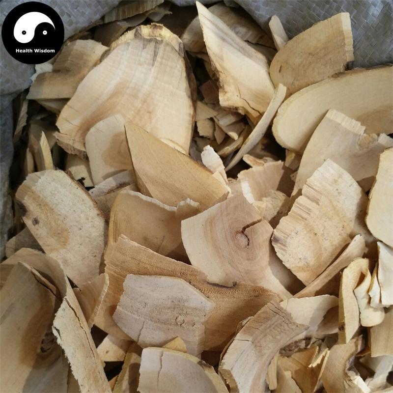Jie Gu Mu 接骨木, Elderberry, Ramulus Sambuci Williamsii, Williams Elder Twig-Health Wisdom™