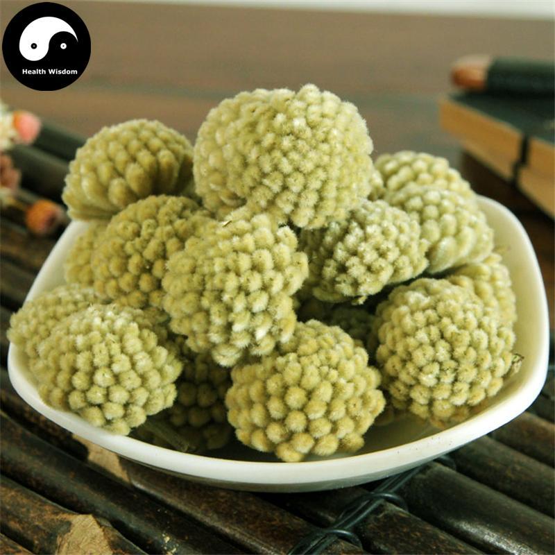 Jie Xiang Hua 结香花, Oriental Paperbush Flower, Flos Edgeworthia Chrysantha, Lv Luo Hua-Health Wisdom™