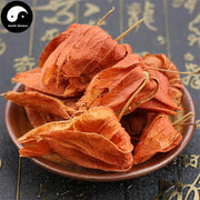 Jin Deng Long 錦燈籠, Calyx Seu Fructus Physalis, Franchet Groundcherry-Health Wisdom™