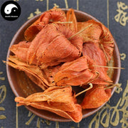 Jin Deng Long 錦燈籠, Calyx Seu Fructus Physalis, Franchet Groundcherry-Health Wisdom™