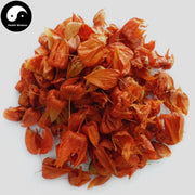 Jin Deng Long 錦燈籠, Calyx Seu Fructus Physalis, Franchet Groundcherry-Health Wisdom™