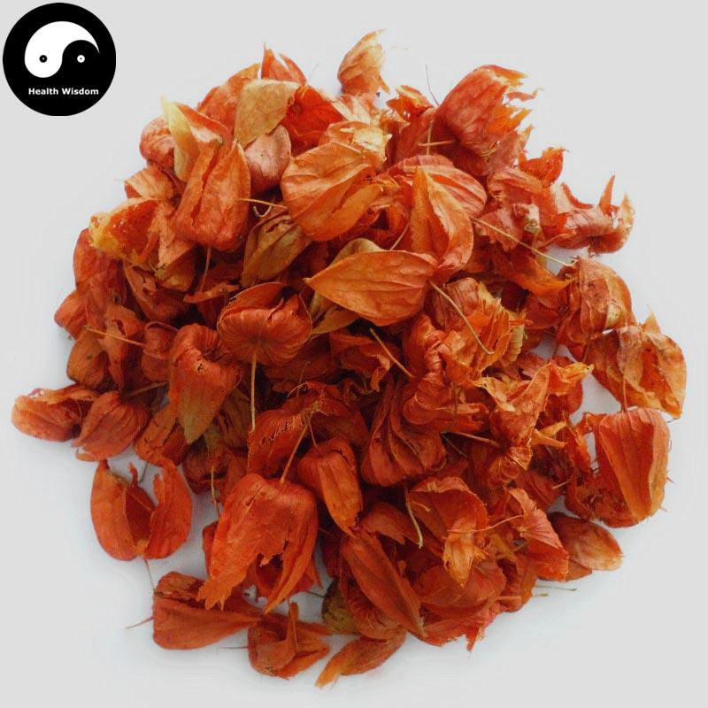 Jin Deng Long 錦燈籠, Calyx Seu Fructus Physalis, Franchet Groundcherry-Health Wisdom™